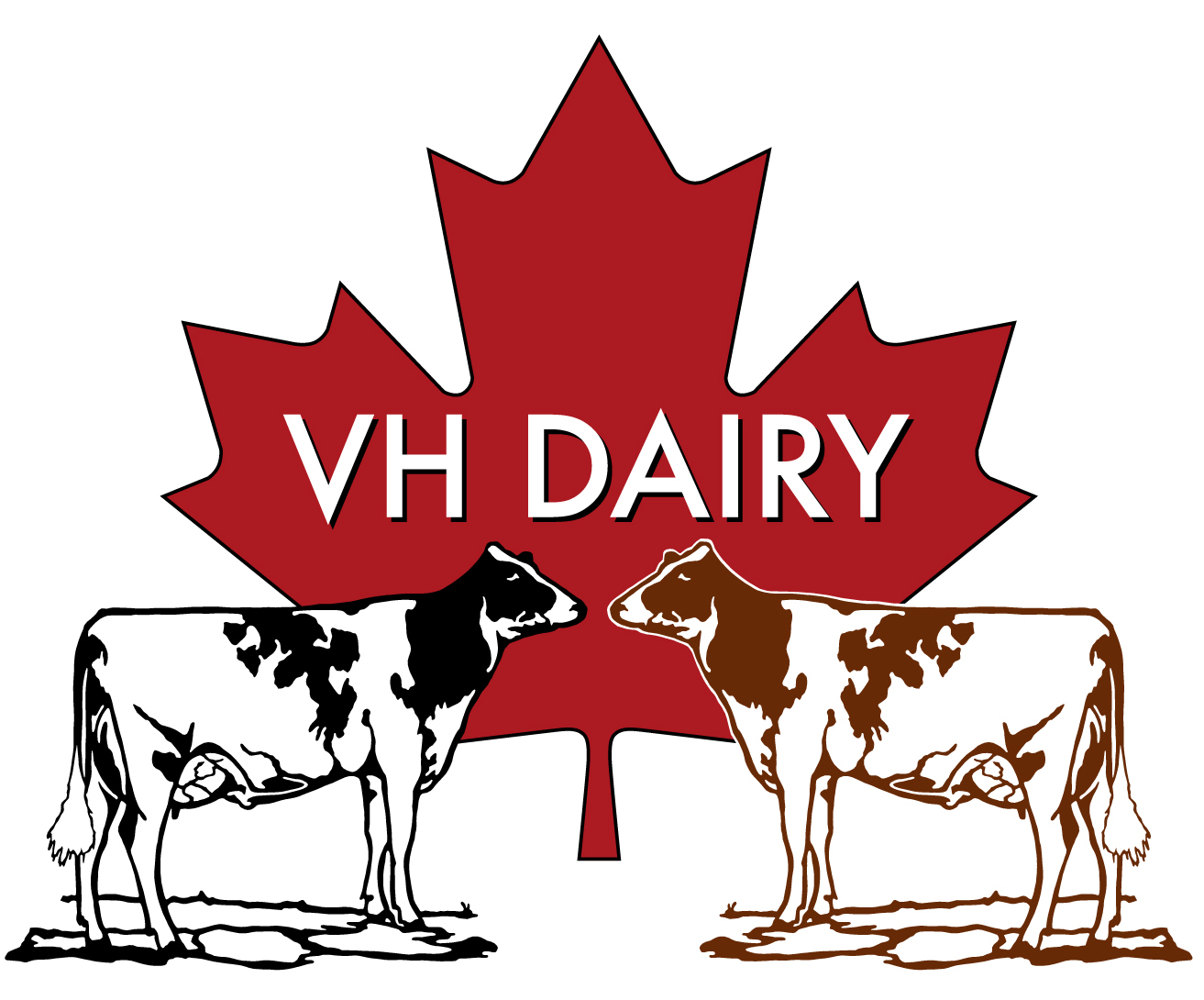 VH DAIRY LTD.